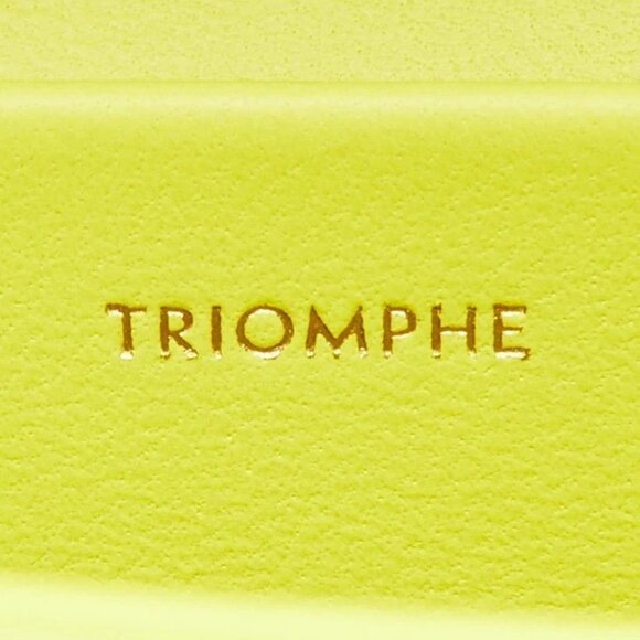 Celine Anis Smooth Calfskin Leather Chain Shoulder Bag - Picture 11 of 12